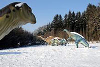 Exposition : Les Dinosaures sont parmi nous. Sugnens, fvrier 2012 (Cliquer ICI)