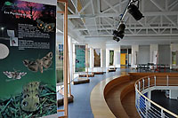 Exposition  Mzires: Parc naturel priurbain dans les forts du Jorat. mai 2011 (Cliquer ICI)