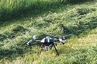 Drones au secours des faons de chevreuil - Avril 2019