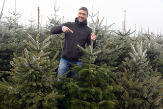 Vivons heureux auprs de notre arbre - AgriSapins, Vincent Pidoux, Thierrens, dcembre 2020. Reportage de Dany Schaer, journaliste photographe