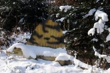Ajout au panier - Pour commander cette photo, cliquer ICI