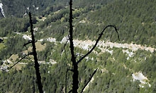 Ajout au panier - Pour commander cette photo, cliquer ICI