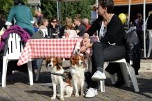 Ajout au panier - Pour commander cette photo, cliquer ICI