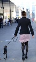Ajout au panier - Pour commander cette photo, cliquer ICI