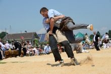 Ajout au panier - Pour commander cette photo, cliquer ICI