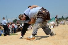 Ajout au panier - Pour commander cette photo, cliquer ICI