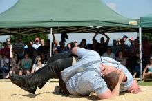 Ajout au panier - Pour commander cette photo, cliquer ICI