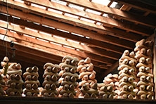 Ajout au panier - Pour commander cette photo, cliquer ICI