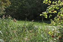 Ajout au panier - Pour commander cette photo, cliquer ICI