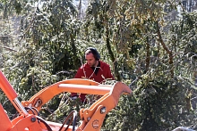 Ajout au panier - Pour commander cette photo, cliquer ICI