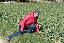 Ajout au panier - Pour commander cette photo, cliquer ICI