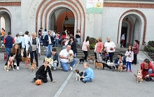 Ajout au panier - Pour commander cette photo, cliquer ICI