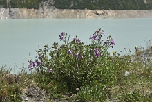 Ajout au panier - Pour commander cette photo, cliquer ICI