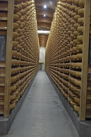 Ajout au panier - Pour commander cette photo, cliquer ICI