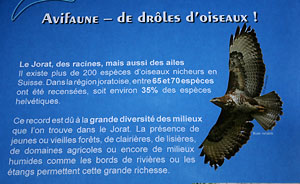 Retour