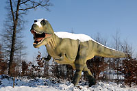 Exposition : Les Dinosaures sont parmi nous. Sugnens, fvrier 2012 (Cliquer ICI)
