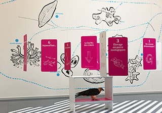 Exposition au Muse de Zoologie - Un mausole pour huit animaux disparus - Lausanne, avril 2019