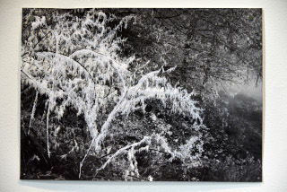 Exposition  l'Espace culturel Assens, , reportage de Dany Schaer, journaliste photographe, septembre 2022