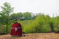 Ajout au panier - Pour commander cette photo, cliquer ICI