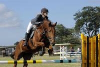 Concours de saut hippique DGM-CR JORAT, Chapelle-sur-Moudon les 17 et 18 juillet 2010 (cliquer ICI)