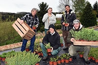 L�Apoth�que du Jorat, une p�pini�re de plantes utiles. Poliez-Pittet, mai 2017
