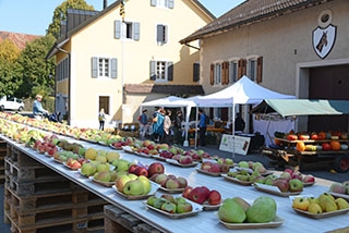 Oies et Pommes font la f�te - Oulens-sous-Echallens, octobre 2017. Reportage de Dany Schaer, journaliste photographe