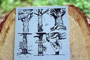Tronches d'arbres