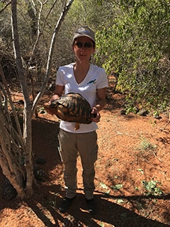 Jean-Marc Ducotterd et sa fille au chevet des tortues malgaches - Chavornay, Madagascar, mai 2018 - Reportage de Dany Schaer, journaliste-photographe