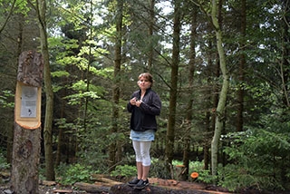 "Tronches darbres" complte sa galerie de portraits. AG Bois des Brigands, Thierrens, juin 2019. Reportage de Dany Schaer, journaliste-photographe