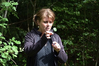 "Tronches darbres" complte sa galerie de portraits. AG Bois des Brigands, Thierrens, juin 2019. Reportage de Dany Schaer, journaliste-photographe
