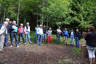 "Tronches darbres" complte sa galerie de portraits. AG Bois des Brigands, Thierrens, juin 2019. Reportage de Dany Schaer, journaliste-photographe