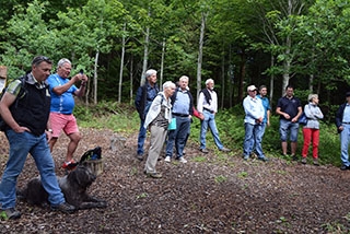"Tronches darbres" complte sa galerie de portraits. AG Bois des Brigands, Thierrens, juin 2019. Reportage de Dany Schaer, journaliste-photographe