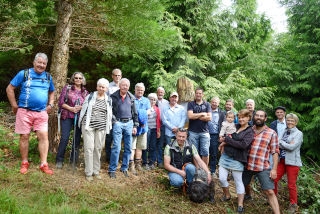 "Tronches darbres" complte sa galerie de portraits. AG Bois des Brigands, Thierrens, juin 2019. Reportage de Dany Schaer, journaliste-photographe