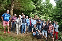 "Tronches darbres" complte sa galerie de portraits. AG Bois des Brigands, Thierrens, juin 2019 (cliquer ICI)