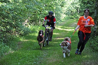 Les chiens font la course en t�te. Canicross, St-Cierges, juin 2019. Reportage de Dany Schaer, journaliste photographe