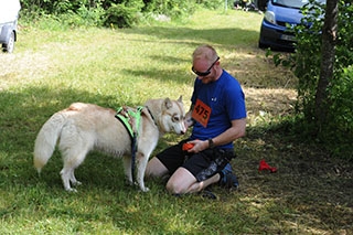 Les chiens font la course en t�te. Canicross, St-Cierges, juin 2019. Reportage de Dany Schaer, journaliste photographe