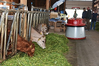 La "Ferme aux 4 Vents" place la qualit de vie au cur de son activit. Johan et Reynald Viret, Villars-Tiercelin, juin 2019 - Reportage de Dany Schaer, journaliste photographe