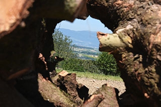 La "Ferme aux 4 Vents" place la qualit de vie au cur de son activit. Johan et Reynald Viret, Villars-Tiercelin, juin 2019 - Reportage de Dany Schaer, journaliste photographe
