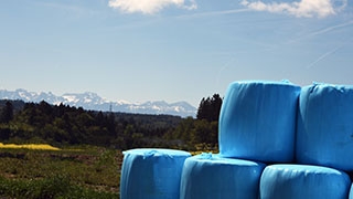 La "Ferme aux 4 Vents" place la qualit de vie au cur de son activit. Johan et Reynald Viret, Villars-Tiercelin, juin 2019 - Reportage de Dany Schaer, journaliste photographe