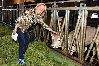 La "Ferme aux 4 Vents" place la qualit de vie au cur de son activit. Johan et Reynald Viret, Villars-Tiercelin, juin 2019 - Reportage de Dany Schaer, journaliste photographe
