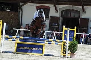 D�couverte du Haras national suisse. Avenches, ao�t2019 - Reportage de Dany Schaer, journaliste photographe