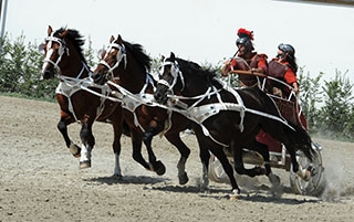 D�couverte du Haras national suisse. Avenches, ao�t2019 - Reportage de Dany Schaer, journaliste photographe
