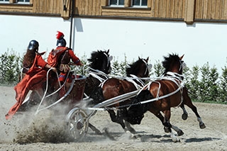 D�couverte du Haras national suisse. Avenches, ao�t2019 - Reportage de Dany Schaer, journaliste photographe