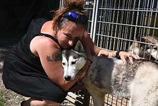 Un chien peut vivre heureux sur trois pattes - SOS Chiens Polaires - Aot 2019 - Reportage de Dany Schaer, journaliste photographe