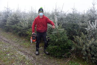 Vivons heureux auprs de notre arbre - AgriSapins, Vincent Pidoux, Thierrens, dcembre 2020. Reportage de Dany Schaer, journaliste photographe