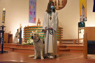 Fte de Saint Franois dAssise, patron des animaux. bndiction des animaux, Payerne, 3 octobre 2020. Reportage de Dany Schaer, journaliste photographe