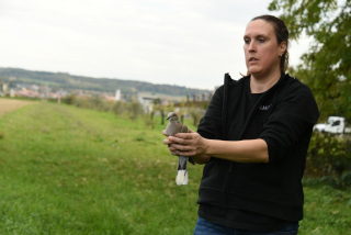 ERMINEA recueille et soigne les animaux de la faune blesss - Association  Chavornay, octobre 2020 - Reportage de Dany Schaer, journaliste photographe
