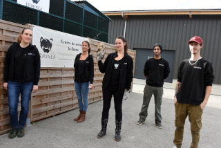 ERMINEA recueille et soigne les animaux de la faune blesss - Association  Chavornay, octobre 2020 - Reportage de Dany Schaer, journaliste photographe