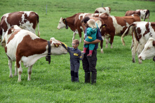Lait de la ferme en vente directe - Ferme Panchaud, Poliez-le-Grand - Juillet 2020. Reportage de Dany Schaer, journaliste photographe