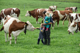 Lait de la ferme en vente directe - Ferme Panchaud, Poliez-le-Grand - Juillet 2020. Reportage de Dany Schaer, journaliste photographe